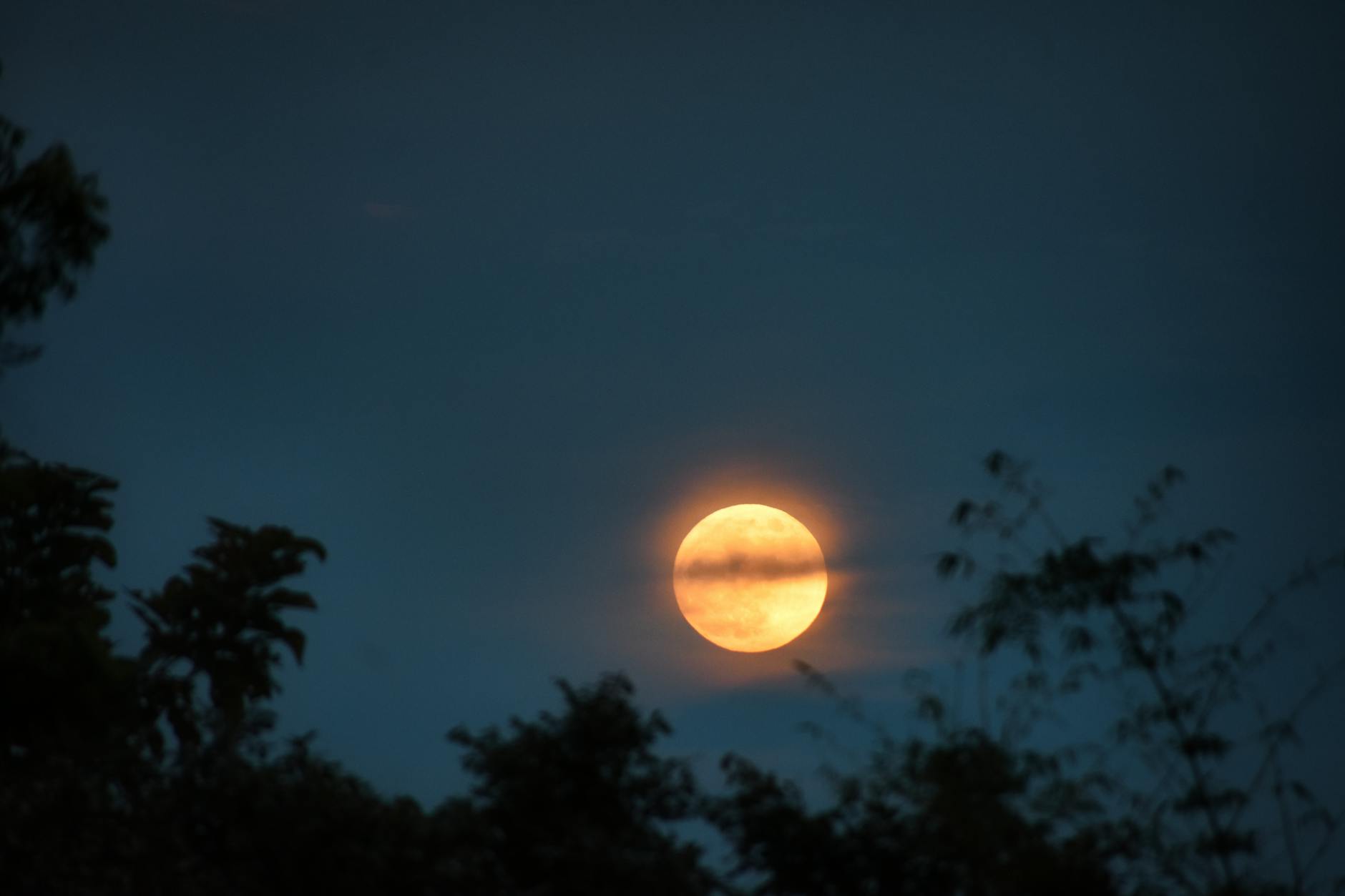 sharad purnima 2026 significance