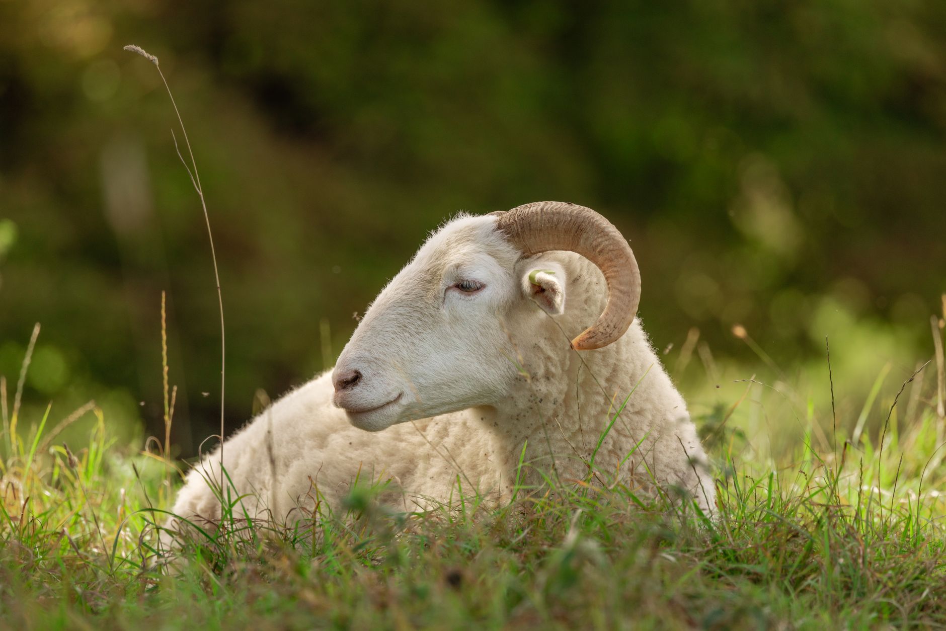DK Shivakumar rashi and nakshatra compatibility with Aries